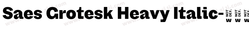 Saes Grotesk Heavy Italic字体转换